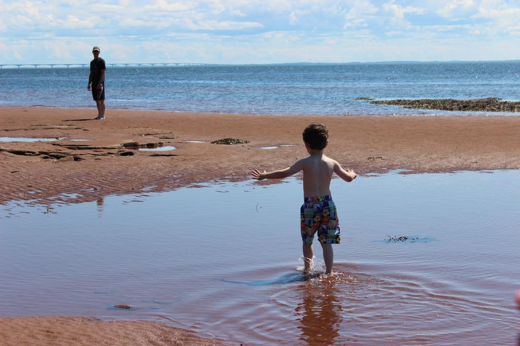 Cottages On Pei-Oceanfront Bedeque Extérieur photo